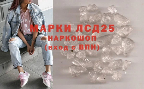 гашик Аркадак