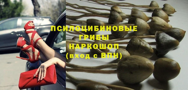гашик Аркадак