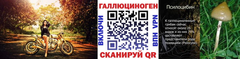 даркнет формула  Могоча  Псилоцибиновые грибы Cubensis 